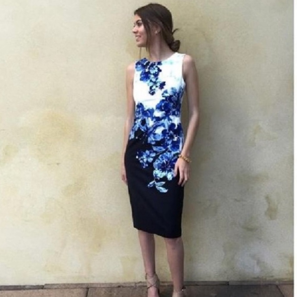 Anthropologie Maeve Vanda Floral Sheath 4